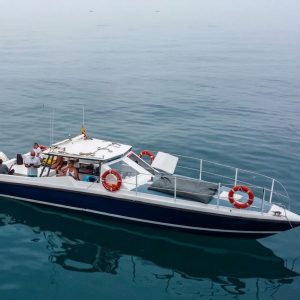 EXCURSION EN BARCO + PADDLE SURF A LA CASCADA DE MARO